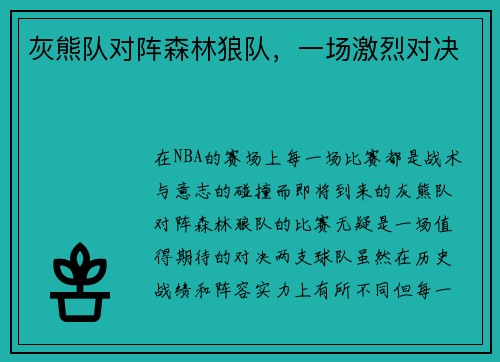 灰熊队对阵森林狼队，一场激烈对决